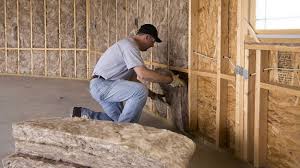 Eco-Friendly or Green Insulation Solutions in Cobb Island, MD